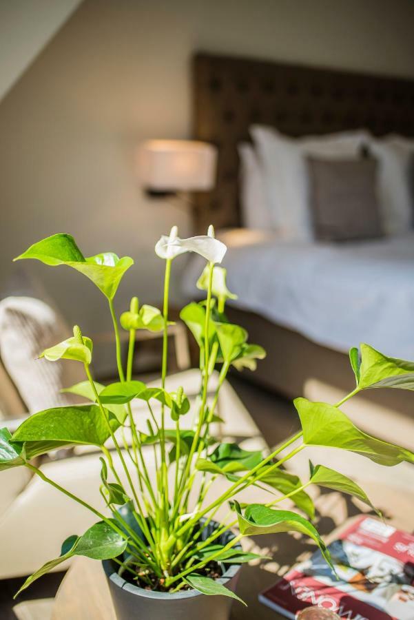 Aquarand Bed and Breakfast Hofstade  Eksteriør billede